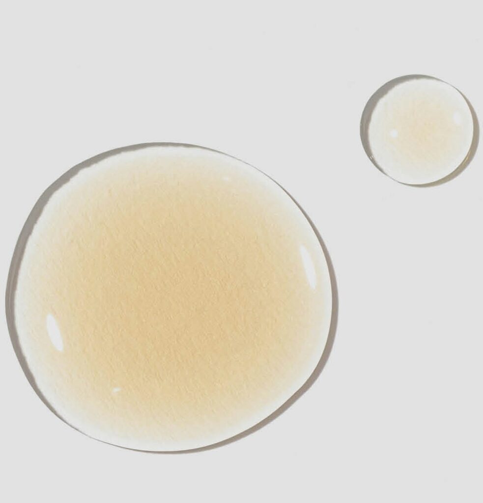 blogbeitrag ferulasaeure 1