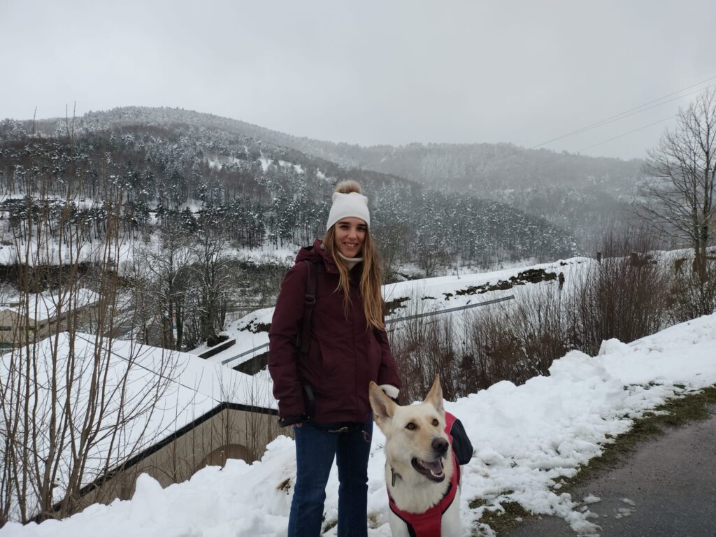 fb18621c 5e9f 483e 8e5c 85ab4880ea7f