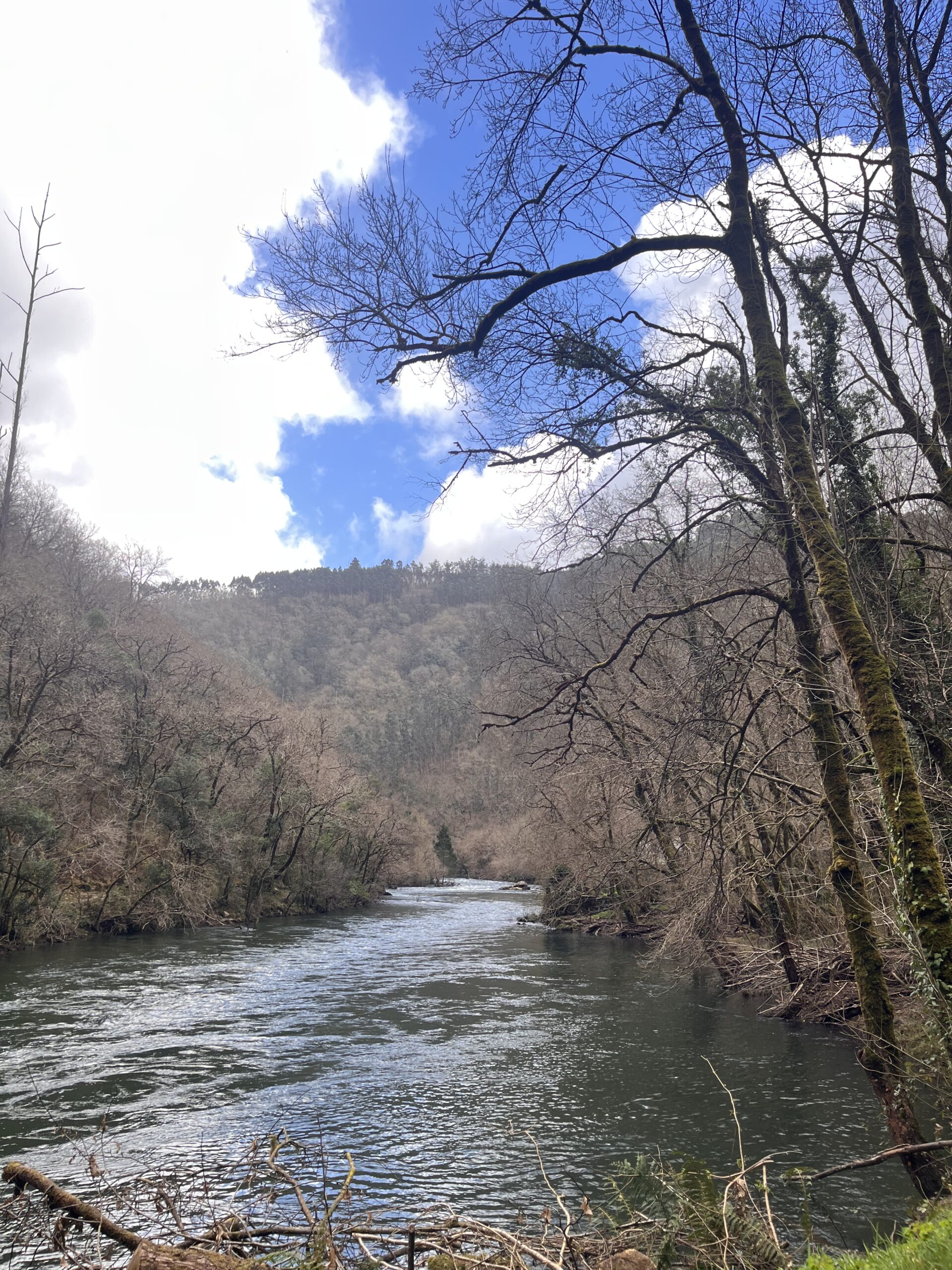 El río eume construye el bosque El río eume construye el bosque